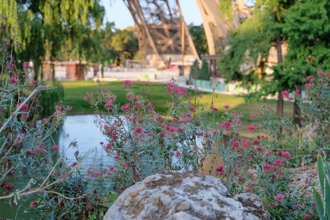 Photo des Jardins tour Eiffel depuis nord-est